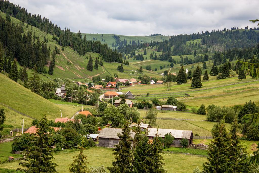 Bed and Breakfast Picnic Panzio Lunca de Sus Екстер'єр фото
