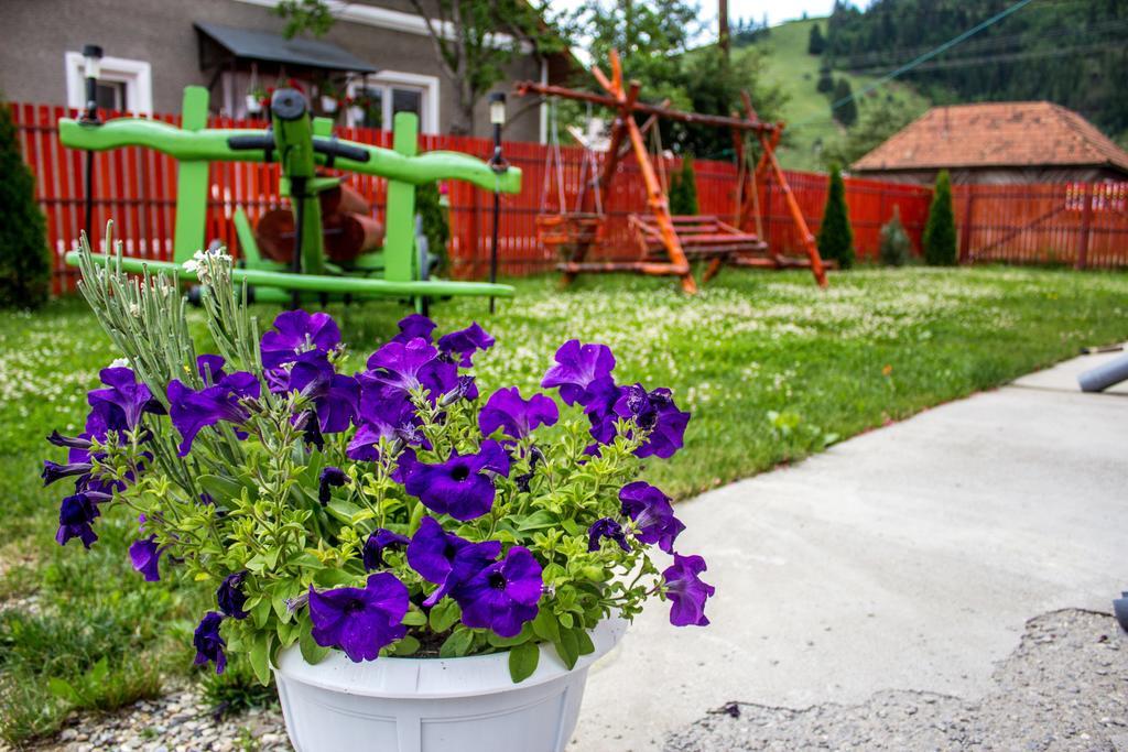 Bed and Breakfast Picnic Panzio Lunca de Sus Екстер'єр фото