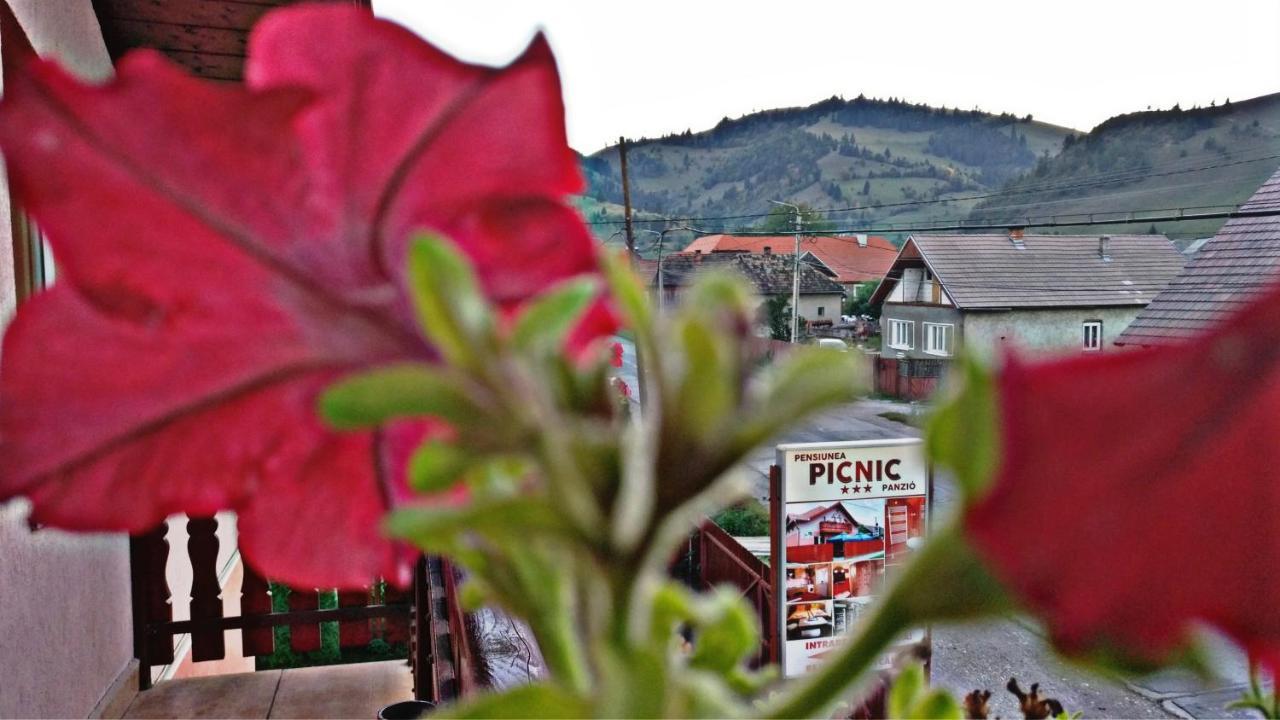Bed and Breakfast Picnic Panzio Lunca de Sus Екстер'єр фото